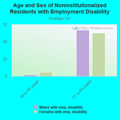 Age and Sex of Noninstitutionalized Residents with Employment Disability