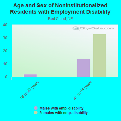 Age and Sex of Noninstitutionalized Residents with Employment Disability