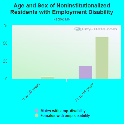 Age and Sex of Noninstitutionalized Residents with Employment Disability