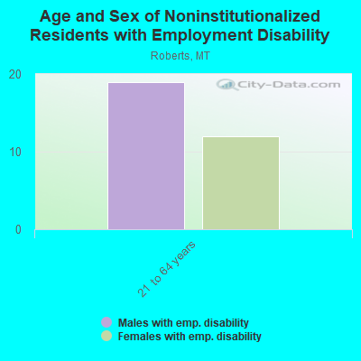 Age and Sex of Noninstitutionalized Residents with Employment Disability