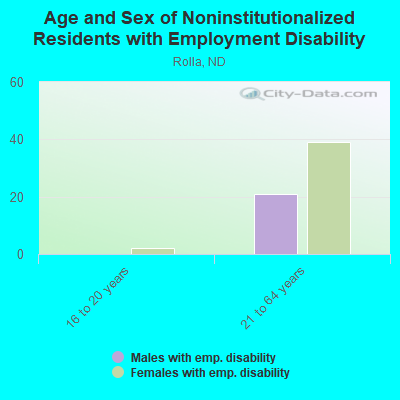 Age and Sex of Noninstitutionalized Residents with Employment Disability