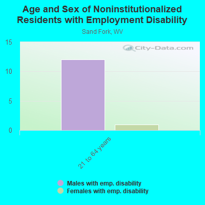 Age and Sex of Noninstitutionalized Residents with Employment Disability