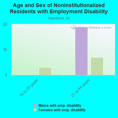 Age and Sex of Noninstitutionalized Residents with Employment Disability