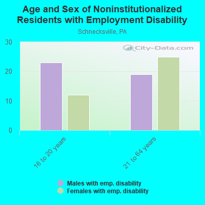 Age and Sex of Noninstitutionalized Residents with Employment Disability