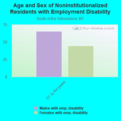 Age and Sex of Noninstitutionalized Residents with Employment Disability