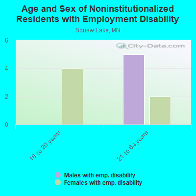 Age and Sex of Noninstitutionalized Residents with Employment Disability