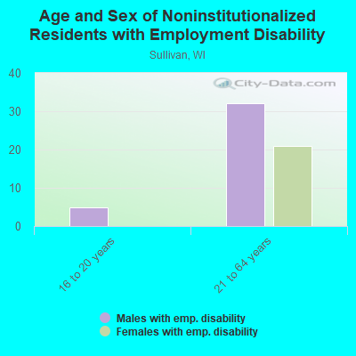 Age and Sex of Noninstitutionalized Residents with Employment Disability