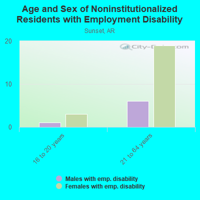 Age and Sex of Noninstitutionalized Residents with Employment Disability