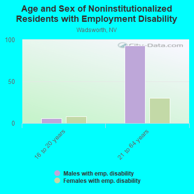 Age and Sex of Noninstitutionalized Residents with Employment Disability