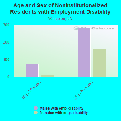 Age and Sex of Noninstitutionalized Residents with Employment Disability