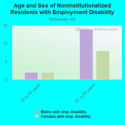 Age and Sex of Noninstitutionalized Residents with Employment Disability