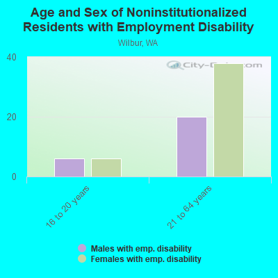 Age and Sex of Noninstitutionalized Residents with Employment Disability