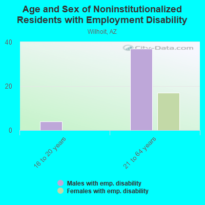 Age and Sex of Noninstitutionalized Residents with Employment Disability