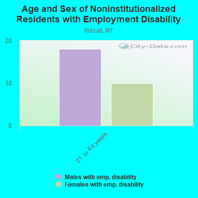 Age and Sex of Noninstitutionalized Residents with Employment Disability