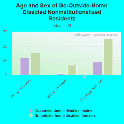 Age and Sex of Go-Outside-Home Disabled Noninstitutionalized Residents