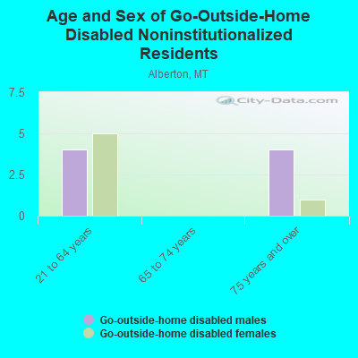 Age and Sex of Go-Outside-Home Disabled Noninstitutionalized Residents