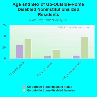 Age and Sex of Go-Outside-Home Disabled Noninstitutionalized Residents