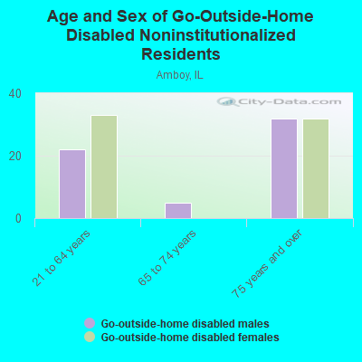 Age and Sex of Go-Outside-Home Disabled Noninstitutionalized Residents