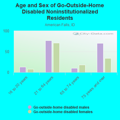 Age and Sex of Go-Outside-Home Disabled Noninstitutionalized Residents