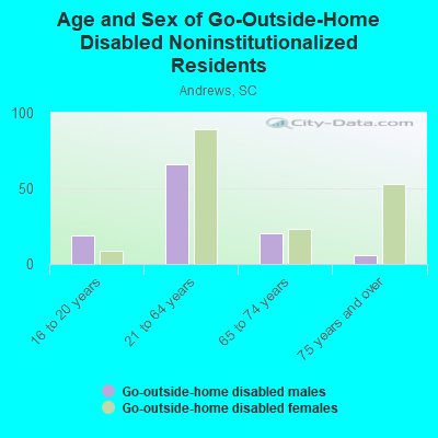 Age and Sex of Go-Outside-Home Disabled Noninstitutionalized Residents