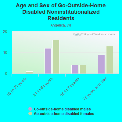 Age and Sex of Go-Outside-Home Disabled Noninstitutionalized Residents