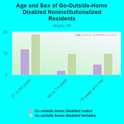 Age and Sex of Go-Outside-Home Disabled Noninstitutionalized Residents