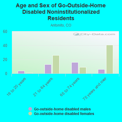 Age and Sex of Go-Outside-Home Disabled Noninstitutionalized Residents