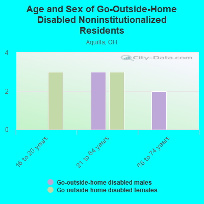 Age and Sex of Go-Outside-Home Disabled Noninstitutionalized Residents