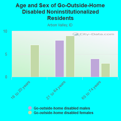 Age and Sex of Go-Outside-Home Disabled Noninstitutionalized Residents