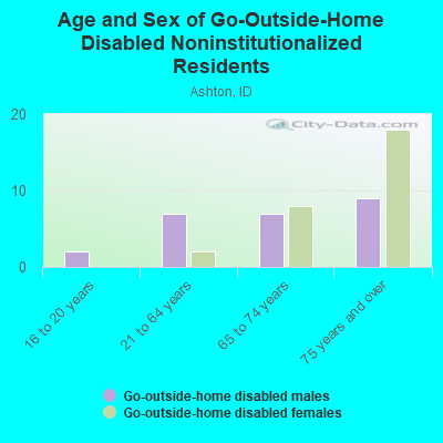 Age and Sex of Go-Outside-Home Disabled Noninstitutionalized Residents