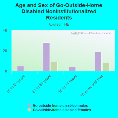 Age and Sex of Go-Outside-Home Disabled Noninstitutionalized Residents