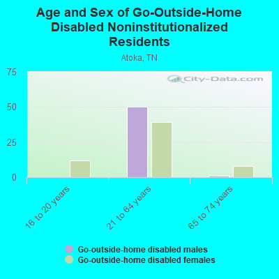 Age and Sex of Go-Outside-Home Disabled Noninstitutionalized Residents