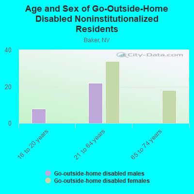 Age and Sex of Go-Outside-Home Disabled Noninstitutionalized Residents