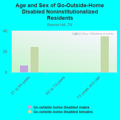 Age and Sex of Go-Outside-Home Disabled Noninstitutionalized Residents