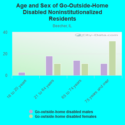 Age and Sex of Go-Outside-Home Disabled Noninstitutionalized Residents