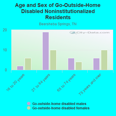 Age and Sex of Go-Outside-Home Disabled Noninstitutionalized Residents