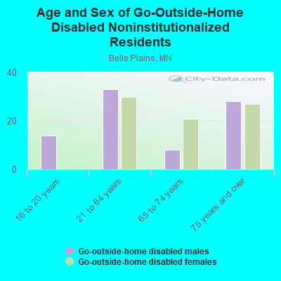 Age and Sex of Go-Outside-Home Disabled Noninstitutionalized Residents