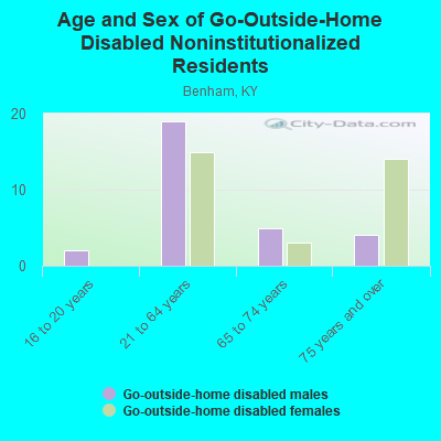 Age and Sex of Go-Outside-Home Disabled Noninstitutionalized Residents