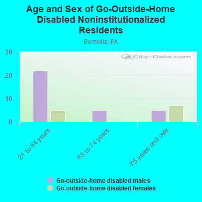 Age and Sex of Go-Outside-Home Disabled Noninstitutionalized Residents