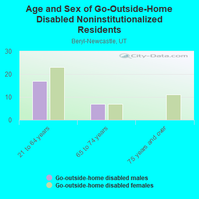 Age and Sex of Go-Outside-Home Disabled Noninstitutionalized Residents