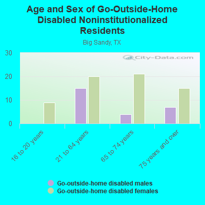 Age and Sex of Go-Outside-Home Disabled Noninstitutionalized Residents