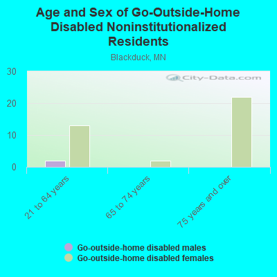 Age and Sex of Go-Outside-Home Disabled Noninstitutionalized Residents