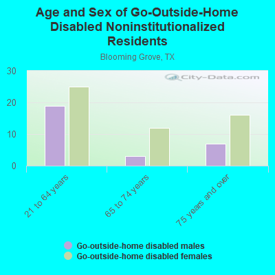 Age and Sex of Go-Outside-Home Disabled Noninstitutionalized Residents