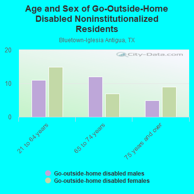 Age and Sex of Go-Outside-Home Disabled Noninstitutionalized Residents