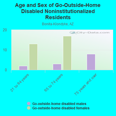 Age and Sex of Go-Outside-Home Disabled Noninstitutionalized Residents