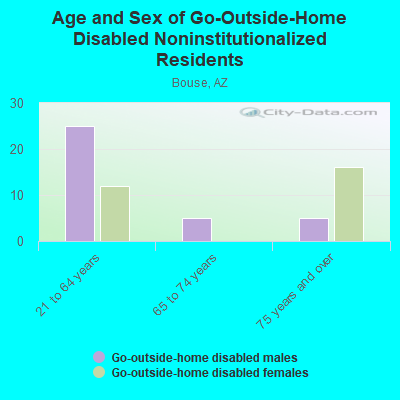 Age and Sex of Go-Outside-Home Disabled Noninstitutionalized Residents