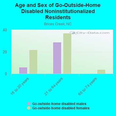 Age and Sex of Go-Outside-Home Disabled Noninstitutionalized Residents