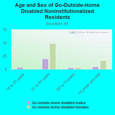 Age and Sex of Go-Outside-Home Disabled Noninstitutionalized Residents