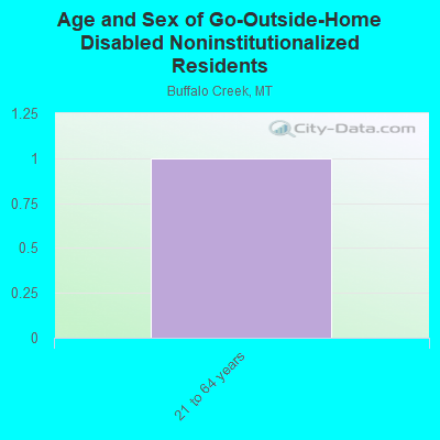 Age and Sex of Go-Outside-Home Disabled Noninstitutionalized Residents