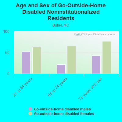 Age and Sex of Go-Outside-Home Disabled Noninstitutionalized Residents